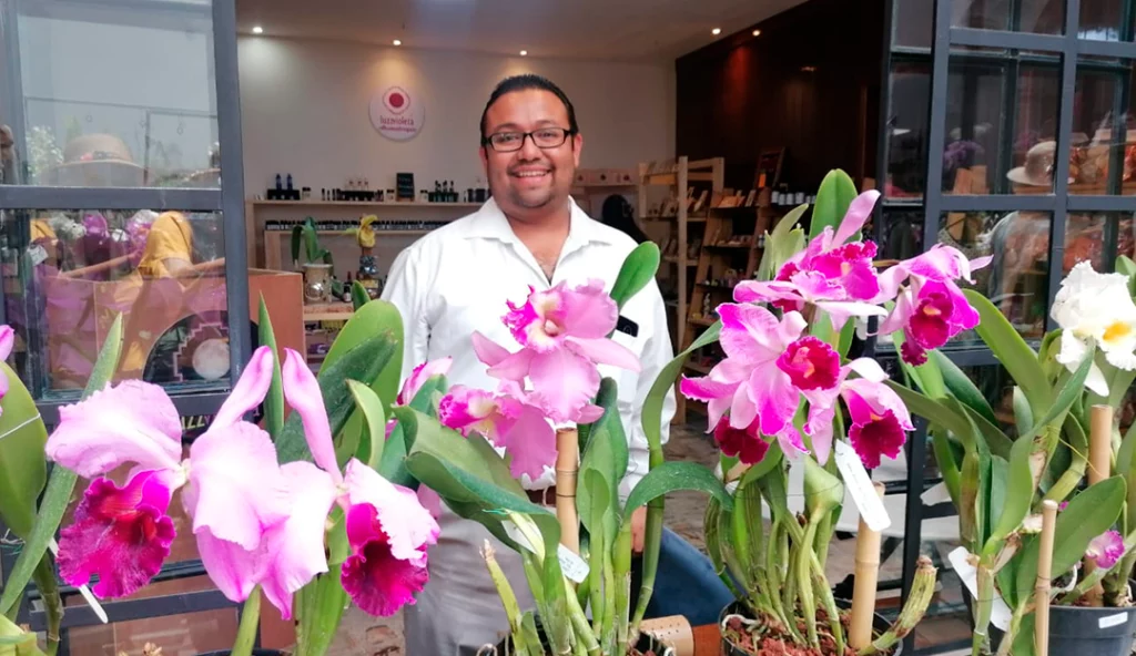 Festival de la Orquídea Coatepec
